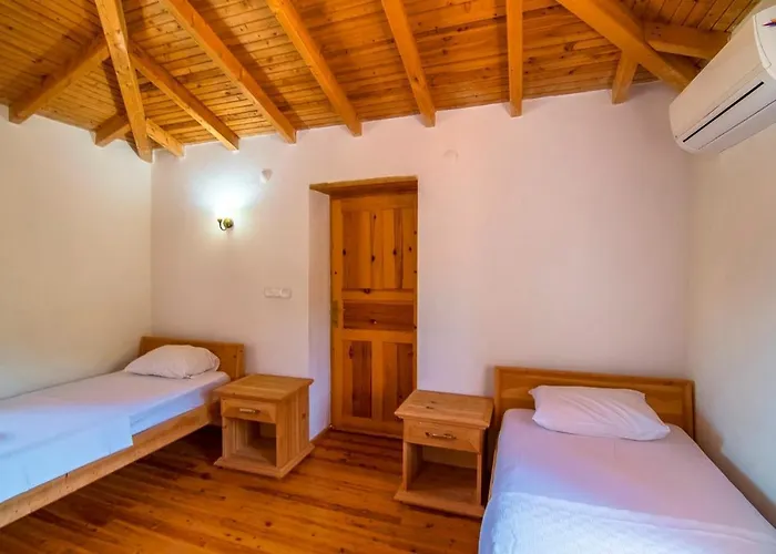 Stone With Private Pool In A Secluded Area In Villa Fethiye